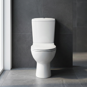 Aqua Two Piece Floor Mounted Toilet for French Market White Ceramic Dual-Flush 5 Year Warranty with P <b>Trap</b> S <b>Trap</b> Options - Product Image 3