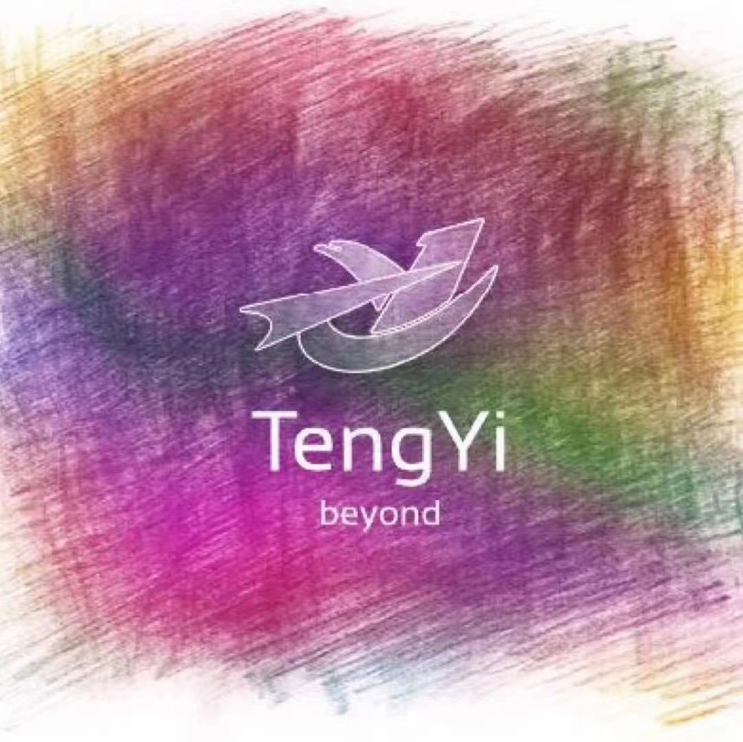 Jining Tengyi Construction Machinery Co.,ltd logo