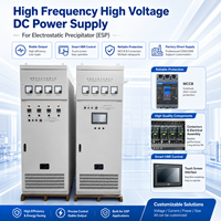 Alimentation électrique haute tension CC personnalisée pour équipement de dépoussiérage électrostatique ESP