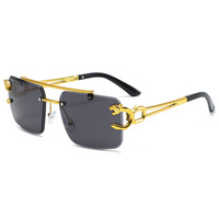 Lunettes de Soleil 2025 Tendance Verres Solaires Hommes Femmes Intelligentes pour Sport de Luxe Designer Photochromiques
