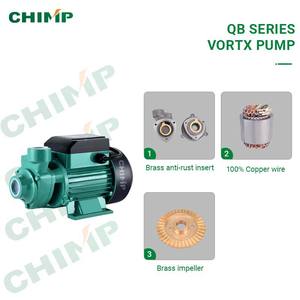 <span class=keywords><strong>Pompe</strong></span> à <span class=keywords><strong>eau</strong></span> électrique monobloc <span class=keywords><strong>de</strong></span> surface Vortex 0,5 CV pour usage domestique QB60 - Product Image 3