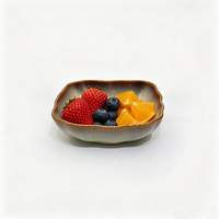 Service de table en grès 16 pièces pour 4 ou 6 personnes – Assiettes plates, assiettes à salade, assiettes à soupe, bols – Vaisselle élégante