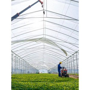 Invernadero de <span class=keywords><strong>túnel</strong></span> rentable mejor calidad <span class=keywords><strong>Túnel</strong></span> de plástico personalizado invernadero precio de fábrica más vendido invernadero para la venta - Product Image 1