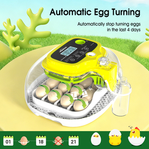 Incubateur à œufs de poulet WONEGG M16 Pro avec contrôle de <span class=keywords><strong>l</strong></span>'humidité et bouteilles de remplissage d'<span class=keywords><strong>eau</strong></span> - Product Image 5
