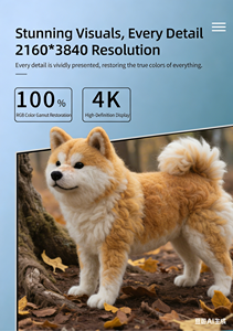 Aiopc Monitor Portatile da 32 Pollici 4K 60Hz, Tablet Touch Screen FHD con Android 13.0, TV Portatile - Product Image 4