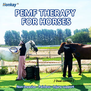 Nuevo Lazo Magnético Portátil PEMF Recomendado para Terapia Física en Caballos, Perros y <span class=keywords><strong>Gatos</strong></span>, para Tratamiento Veterinario Equino - Product Image 1