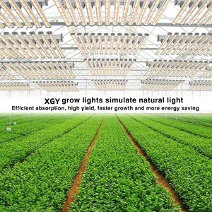 China Factory IP65 Gewächshaus 640W 860W Aluminium Pflanze wachsen Licht Voll spektrum Licht LED Gartenbau