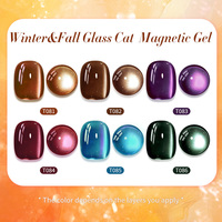 BORN PRETTY PRO 15ml Couleur foncée Tpo Hema Free Automne Chat Gel magnétique Vegan Automne Hiver Verre Cat Eye Gel Vernis à ongles