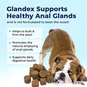 OEM /ODM Pet Supplement Anal Gland Soft Chews Treats with Pumpkin for Dogs Supporting Healthy Anal Gland and Bowel Function - Product Image 2