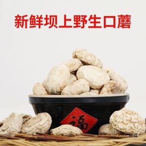 Khô toàn bộ trắng Agaricus bisporus nấm <span class=keywords><strong>champignon</strong></span> cho ăn được nấm - Product Image 4