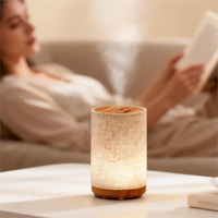 Diffuseur d'huiles essentielles à grande capacité, diffuseur d'arômes sans eau pour la maison, machine à parfum de table, écologique, LED