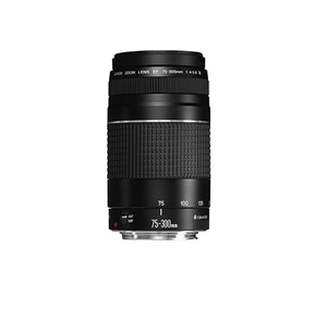 Pour objectif plein format EF 75-300 mm F/4-5.6 III - Product Image 4