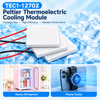 Module de refroidissement Peltier ANLING haute efficacité TEC1-12702 12V 2A 19.2W – Solution thermoélectrique compacte – Fourniture en gros OEM