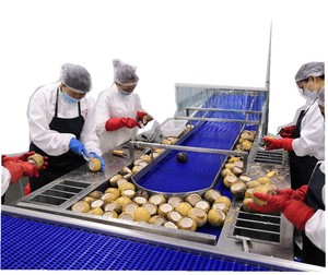 Offre des machines de traitement de l'eau de noix de coco vertes et matures - Product Image 5