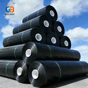 Géomembrane industrielle HDPE Glory Bridge pour revêtement de barrage et bassin d'élevage de crevettes - Durable, étanche, <span class=keywords><strong>prix</strong></span> Bangladesh - Product Image 1