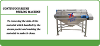 Sensitar continue automatische borstel-schilmachine voor fruit, groenten, aardappel, wortel, na stoomreiniging, polijsten, roestvrij staal