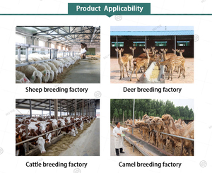 OEM & ODM <b>Vitamins</b> & Minerals Supplement for Cattle Sheep Goat Feed Grade Oral <b>Liquid</b> Multivitamin Premix - Product Image 3