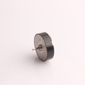 Remium 26 mm ulaulhaber eposition 2610 2607 Tattoo otor para Beauty RT - Product Image 3