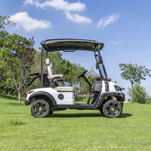 定制颜色 60V 2人座电动高尔夫球车 支持ODM OEM - Product Image 6