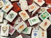 Jeu de tuiles de mahjong américain de qualité supérieure, motif écaille de tortue, tuiles en acrylique avec un design classique d'inspiration asiatique orientale
