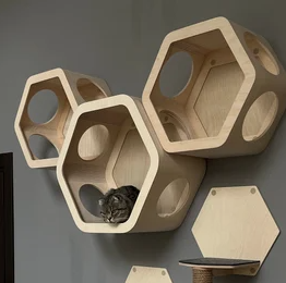 Cubes muraux modulaires en bois pour chat (hexagone) - Product Image 2