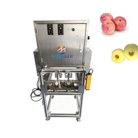 Máquina Comercial para Pelar Tomates, Máquina para Pelar Peras, Máquina para Pelar y Descorazonar Manzanas y Peras