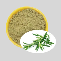 Ekstrak Daun Rosemary Alami Asam Karnosat 10% 20% Bubuk E392 Antioksidan Kelas Makanan untuk Minyak Goreng Produk Daging CAS 3650-09-7
