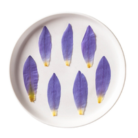 Pétales de lotus bleu séchés naturels et pressés, pétales de nénuphar séchés pour décorations, spécimens de fleurs végétales