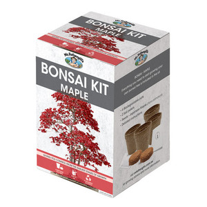 Kit <span class=keywords><strong>de</strong></span> cultivo <span class=keywords><strong>de</strong></span> bonsái <span class=keywords><strong>de</strong></span> <span class=keywords><strong>pino</strong></span> al mejor precio <span class=keywords><strong>de</strong></span> alta calidad para el hogar Kit <span class=keywords><strong>de</strong></span> inicio <span class=keywords><strong>de</strong></span> cultivo <span class=keywords><strong>de</strong></span> árboles para productos <span class=keywords><strong>de</strong></span> regalo únicos para hombres - Product Image 5