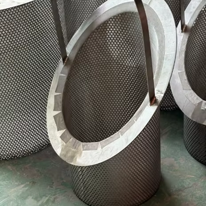 Cubo de malla perforada de acero inoxidable de doble capa de malla fina 304 Elementos de prefiltro tipo Y - Product Image 1