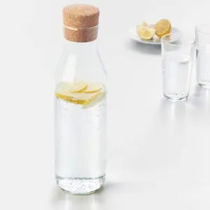 Carafe d'eau de chevet en verre Borosilicate, pichet à Infusion de fruits, pichet à lait en verre