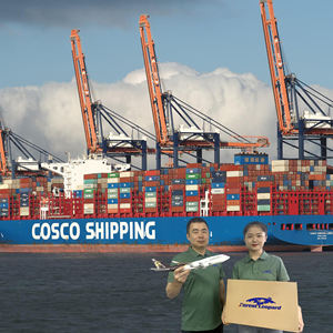 Pengiriman laut Yiwu Forwarder Tiongkok ke USA <span class=keywords><strong>CA</strong></span> AU UK EU Forwarder Lcl melalui laut gudang FBA pintu ke pintu - Product Image 3