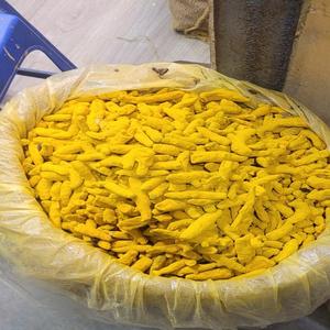 Meilleur Curcuma 2026 Qualité Exportation Qualité Alimentaire Curcumine Pure Pressée à Froid Nettoyée à la Machine Prix de Gros Imbattable - Product Image 6