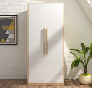 AILICHEN moderno e semplice piccolo appartamento camera da letto a tre porte grande armadio combinato a due porte armadio pieghevole a due porte - Product Image 2