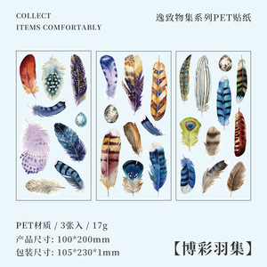 2025 Vintage <strong>Printed</strong> Journal <strong>Sticker</strong> Transparent Waterproof PVC Material Mini <strong>DIY</strong> Stationery Journal Cross-Border Decoration - Product Image 6