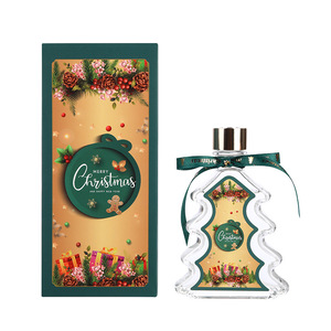 Coffret Cadeau Créatif d'Aromathérapie Sans Flamme pour Arbre de Noël – Décoration Festive pour la Maison, Parfum d'Ambiance pour Chambre, Idéal pour une Atmosphère de Fêtes - Product Image 1