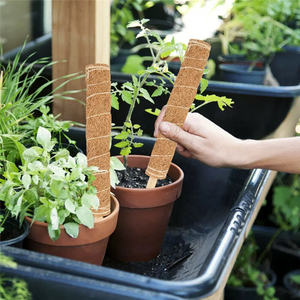 Oferta Especial: Set de Postes de Musgo de <span class=keywords><strong>Coco</strong></span> para Bonsái y Plantas Trepadoras, Diseño Ecológico y Duradero, Macetas y Jardineras para Plantas Verdes de Hogar y Jardín - Product Image 2