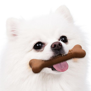 Nylon Dog Toothbrush <strong>Pet</strong> Chewing Toy Interactive <strong>Chew</strong> <strong>Stick</strong> in Bone Shape Eco-Friendly Teeth Cleaning Tool - Product Image 5