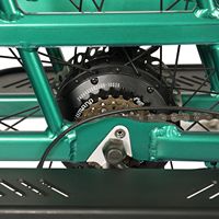 Remorque de transport en alliage d'aluminium de nouvelle conception pour vélo, avec batterie lithium intégrée au moyeu arrière, boîte de grande capacité et fourche avant à suspension