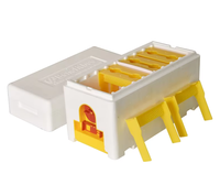 Apidea ESP Mini-ruche de reproduction en mousse de polystyrène, kit de démarrage d'apiculture en plastique, état neuf, à vendre