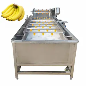 Brush Type Fruit And Vegetable Peeling Machine Vegetable And Fruit Washing Machine Mango Apple Cleaning Machine