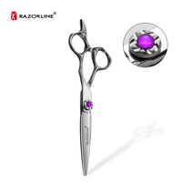 AK26 Japon Acier Coiffure pour Salon de Coiffure Ciseaux de Coupe de Cheveux Professionnels