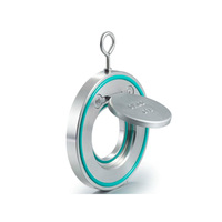 Vanne anti-retour à disque oscillant à simple plaque en acier inoxydable DN80