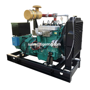 Générateur monophasé avec démarrage automatique et à distance évalué 220V Refroidissement par eau Type ouvert Biogaz & Syngas Stamford Alternateur - Product Image 5