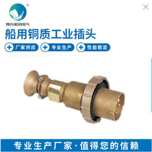 Nuevo Conector Industrial Marino CTS2-2/I4 de Cobre, Enchufe Metálico Impermeable de Alta Corriente para Barcos, Herraje Marino Industrial - Product Image 1