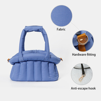 Offre Spéciale nouveau Design fournitures pour animaux de compagnie Portable transporteurs pour animaux de compagnie chien sac de marche chien accessoires voyage pour chiot Kitty