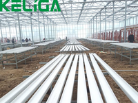 Serre en plastique ABS Bac en plastique Ebb and Flow SYSTÈME VERTICAL Banc roulant hydroponique Tables