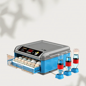 Incubadoras <span class=keywords><strong>de</strong></span> <span class=keywords><strong>Huevos</strong></span> al <span class=keywords><strong>Por</strong></span> <span class=keywords><strong>Mayor</strong></span> <span class=keywords><strong>de</strong></span> Alta Calidad, Suministro <span class=keywords><strong>de</strong></span> Fábrica, Precio Más Bajo, Incubadoras <span class=keywords><strong>de</strong></span> <span class=keywords><strong>Huevos</strong></span> <span class=keywords><strong>de</strong></span> <span class=keywords><strong>Gallina</strong></span> - Product Image 5