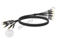 Câble audio multipaire 16 canaux TRS mâle 1/4 pouce vers TRS mâle 6,35 mm et 1/4 pouce