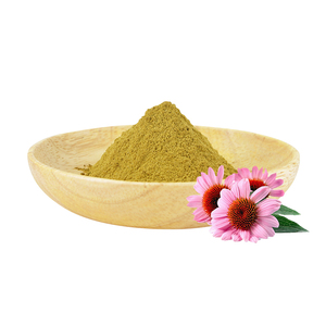 Extracto de Planta a Granel de Fábrica AMULYN, Extracto Herbal de Alta Pureza, Ácido Chicórico HPLC, Polifenol UV, Extracto de Equinácea en Polvo - Product Image 1